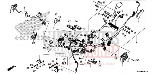 FAISCEAU DES FILS CB500XAJ de 2018